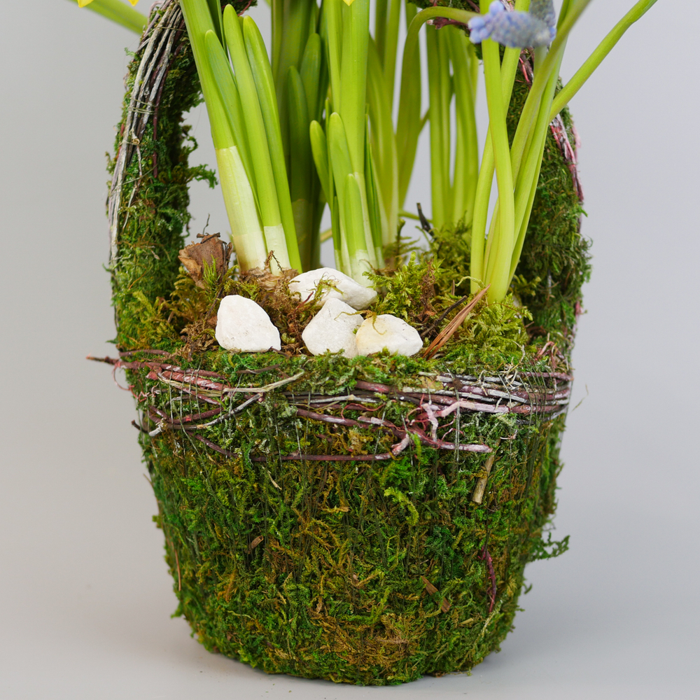 Композиция с первоцветами Лесная корзина S