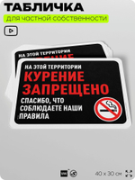 Табличка для частной территории "Курение запрещено", на дом, для участка, организаций и частных территорий, предупреждающая, 40х30 см, Silver Plane x Айдентика Технолоджи