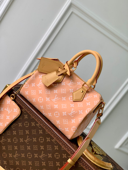 Louis Vuitton Speedy P9 Bandouliere 25