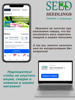 Томат Вишня в Шоколаде (0,05гр). Семена Алтая