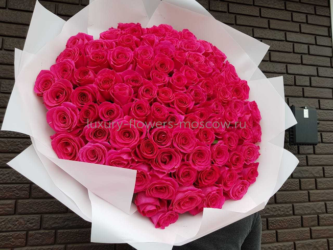 101 Малиновая роза Эквадор
