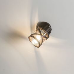 Citilux Гессен CL536615 Спот поворотный с выключателем Венге