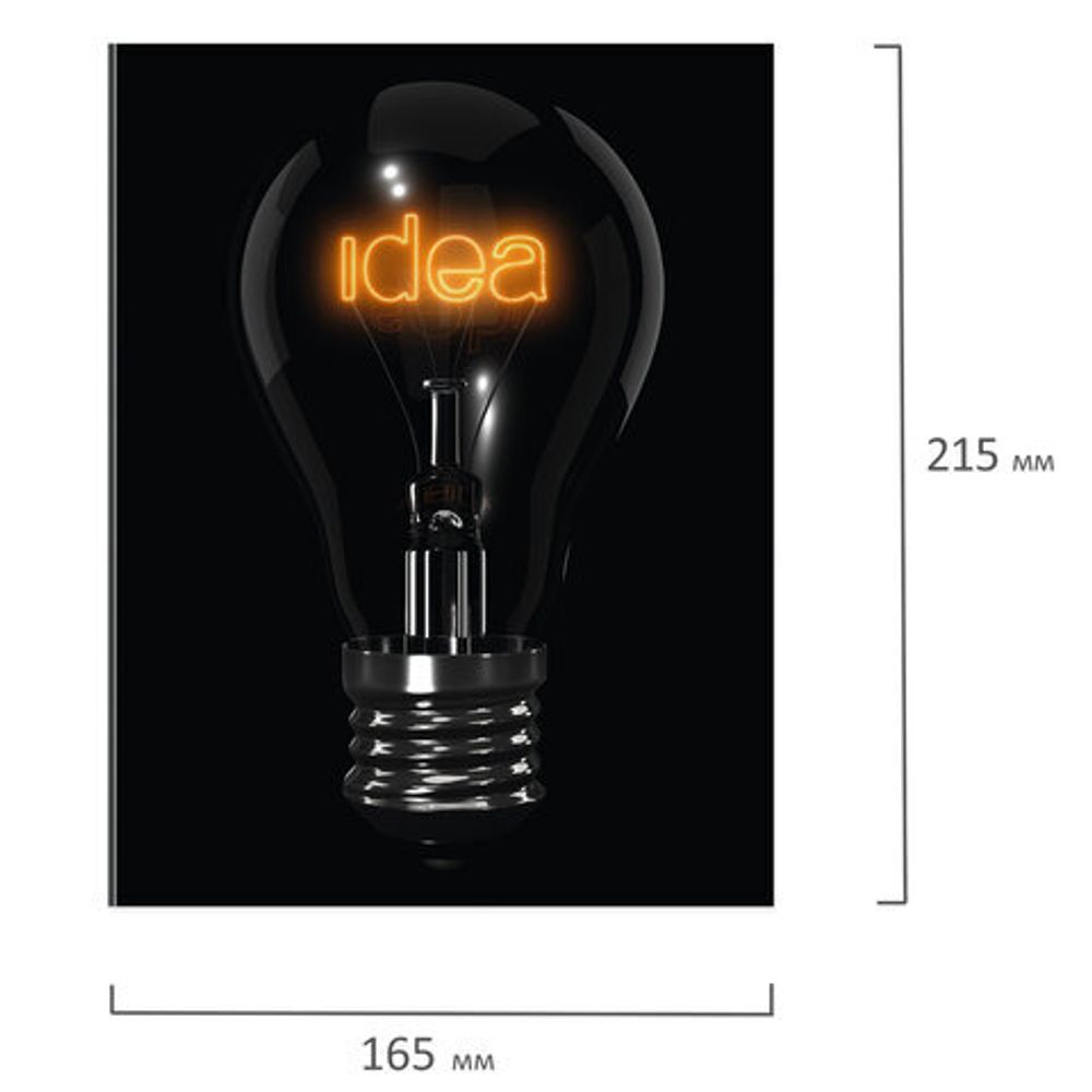 Тетрадь на кольцах А5 165х215 мм, 160 л., твердый картон, клетка, BRAUBERG, "Idea", 404091