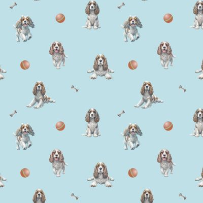 Спаниель щенок голубой