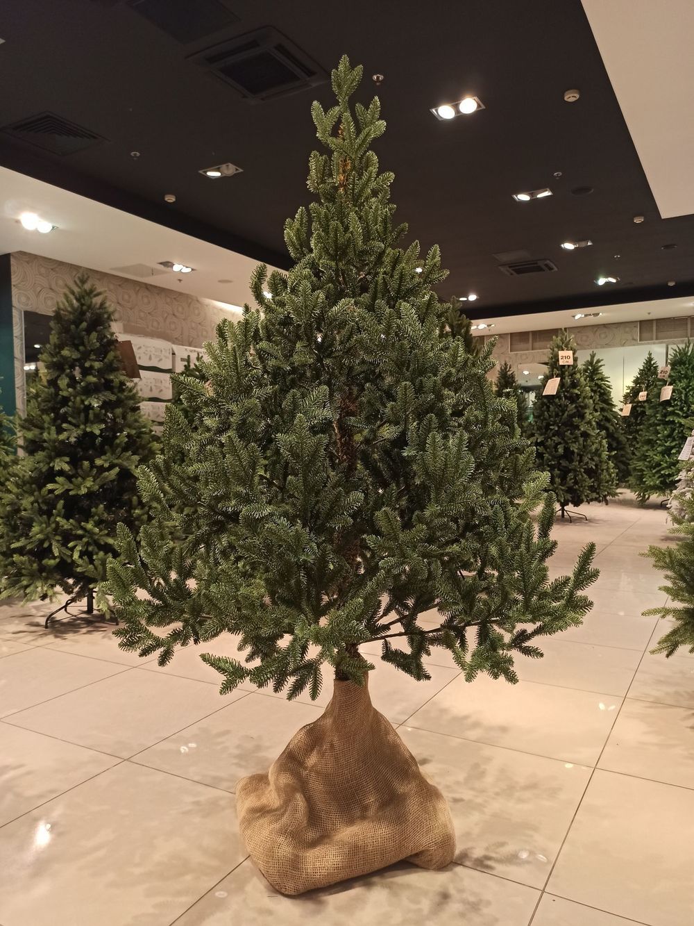 Искусственная ель на ножке «Датская» (хвоя литая) 180 см / 1,8 м