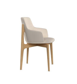 Дизайнерский стул LANTANA magic 06