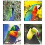 Тетрадь 96 л. кл. скреп. ПТИЦЫ А5 карт. хромэрзац офс.№2