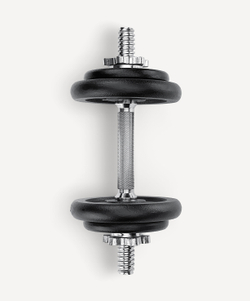 Гантель разборная чугунная в коробке DB-715, 8 кг