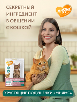 Лакомство Мнямс "Здоровые зубы" хрустящие подушечки для кошек с цыпленком 60 г.