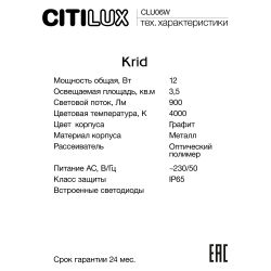 Citilux Krid CLU06W LED Уличный настенный светильник Графит