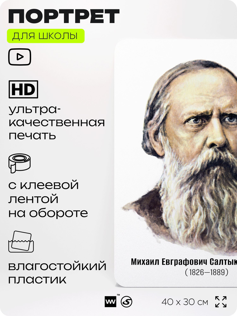 Портрет для школы в кабинет литературы и русского языка "Салтыков-Щедрин Михаил Евграфович", стенд школьный для класса, для оформления классного уголка, 40х30 см, Silver Plane x Айдентика Технолоджи