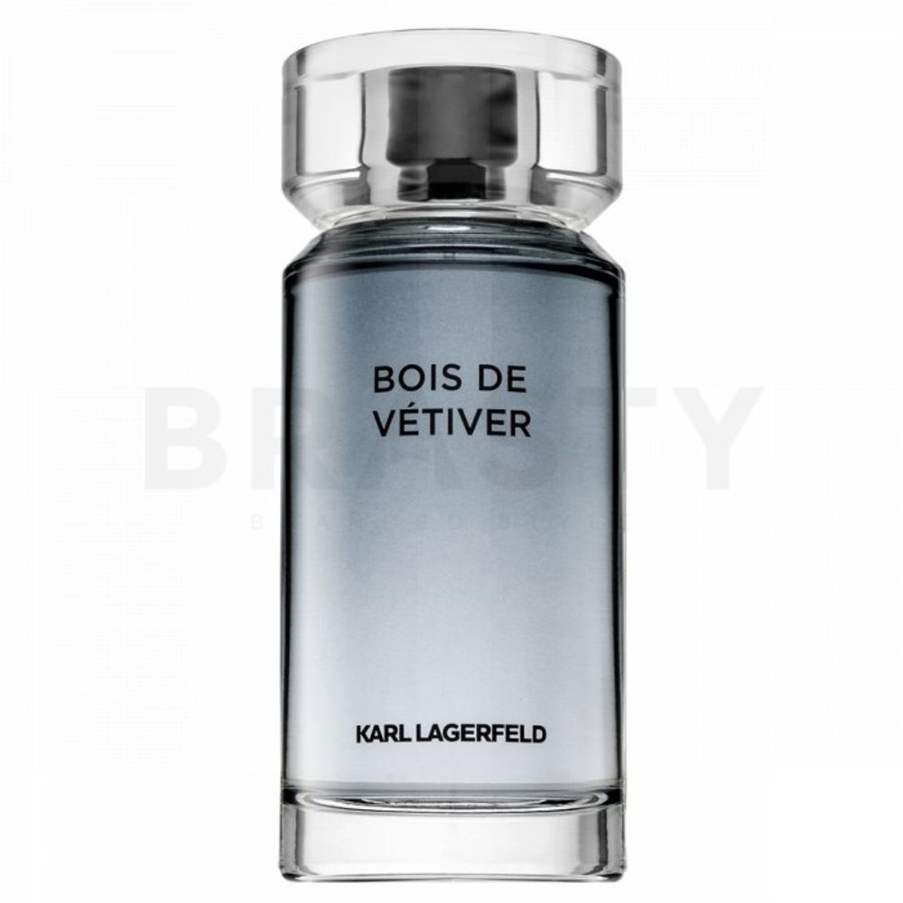 Lagerfeld Bois de Vétiver EDT M 100 ml