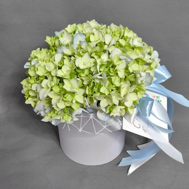 Композиция с зеленой гортензией