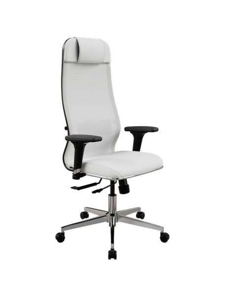 SynchroSit 10 B1-115D - X2+Extra /Um00/Wm12/D02P(M18.B22.G18.W02)