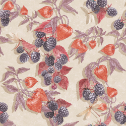 Коллекция Enjoy