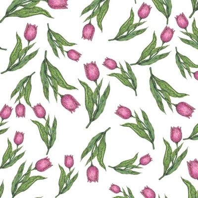 Розовые цветы тюльпаны на белом фоне