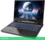 Ноутбук Сolorful Evol P15 24