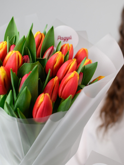 Тюльпаны микс