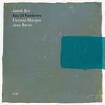 Jakob Bro Trio / Bay Of Rainbows (LP)