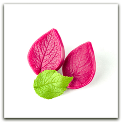 Листья колокольчика