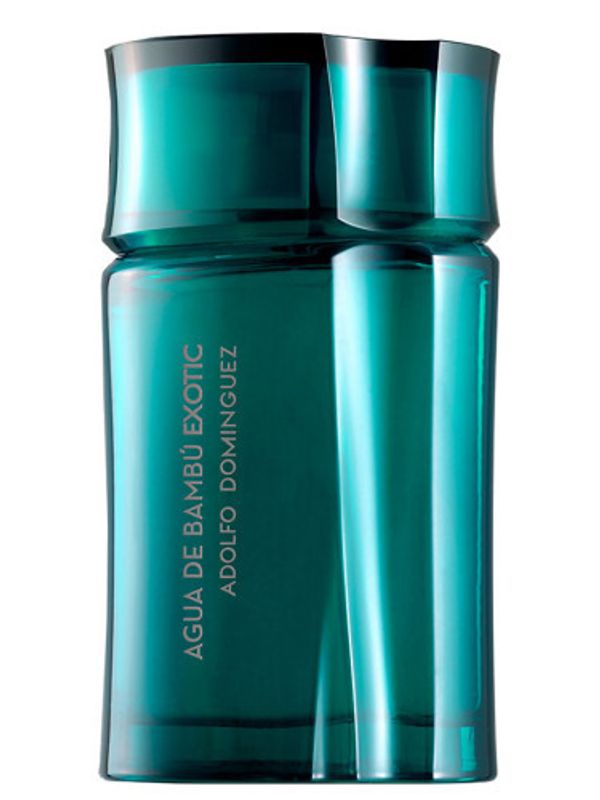 Adolfo Dominguez Agua de Bambu Exotic for Him