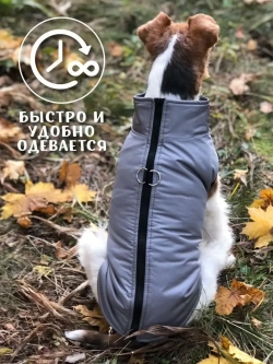 Жилет для собак мелких средних крупных пород осень