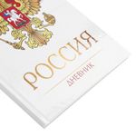 Дневник 5-11 класс, 48 л., твердый, BRAUBERG, глянцевая ламинация, с подсказом, "Символика 2", 106067