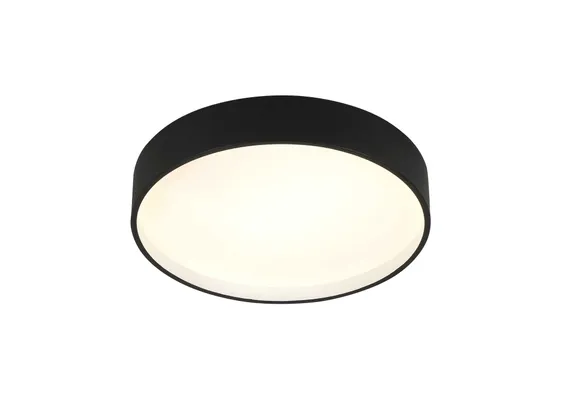 2541/400 BLACK (1) Потолочный светильник (RL)