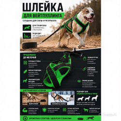 Шлейка для вейтпуллинга (стандарт, классика)