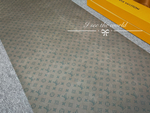 Louis Vuitton Exercise Mat
