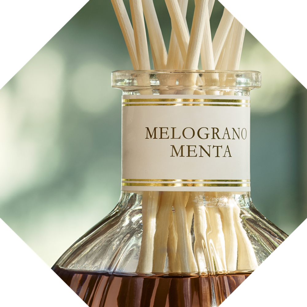Dr. Vranjes Melograno Menta диффузор (аромат гранат мята)