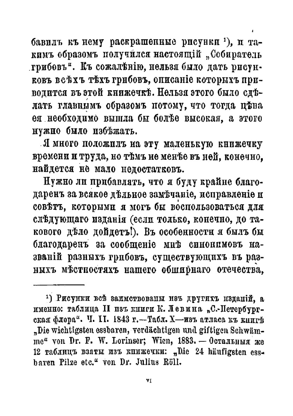 Собиратель грибов | Д. Кайгородов
