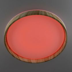 Citilux ENZO CL753452G LED RGB Светильник с пультом Клён