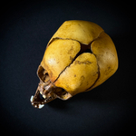 Маленький монстр