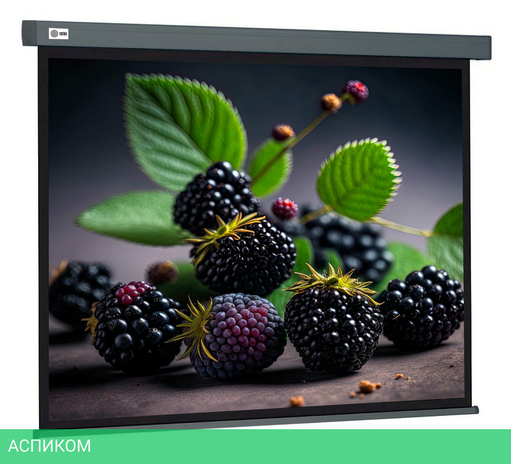 Проекционный экран Cactus CS-PSW-127X127-SG