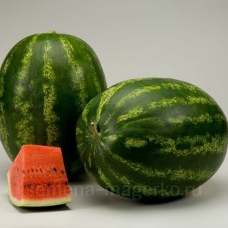 Арбуз Каристан F1  10  (семян)