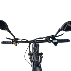 Электровелосипед Jetson F26-X BIZON (48V12Ah)