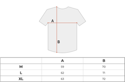 Футболка мужская Dickies Enterprise