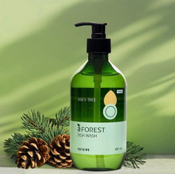 Средство для мытья посуды Beautiful Kitchen Detergent a Forest Container 485ml (Fragrance - ABIES TREE)