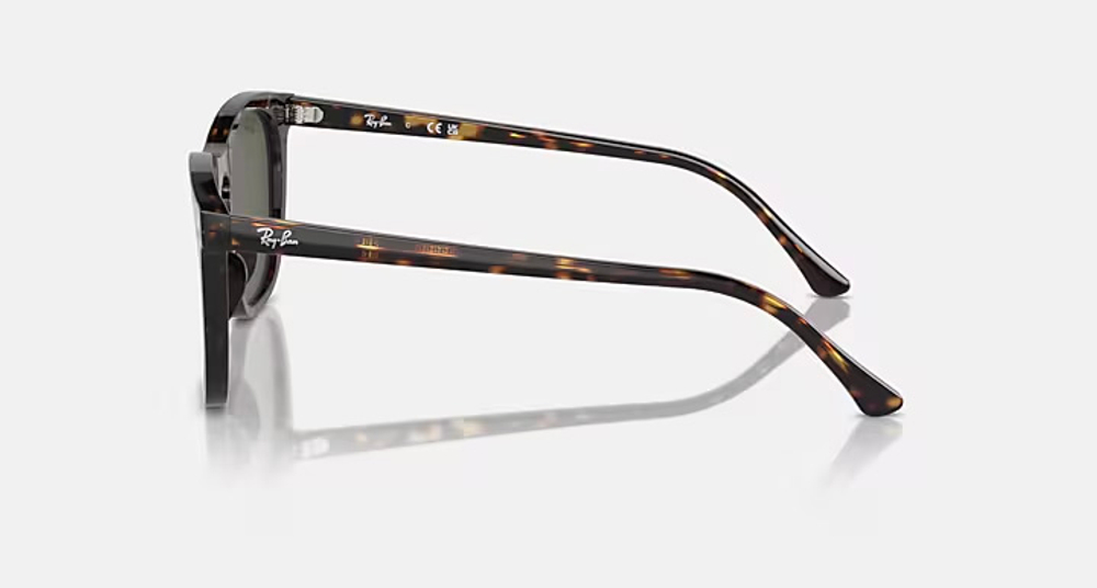 RAY-BAN RB2210-F 902/31