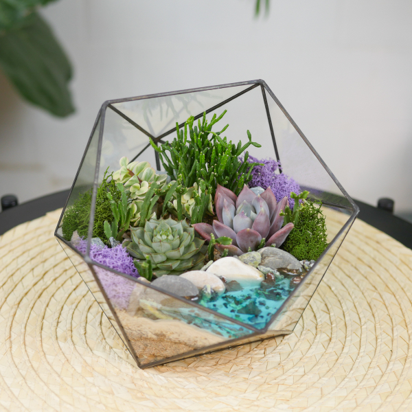 Готовый флорариум с суккулентами Икос S с озером