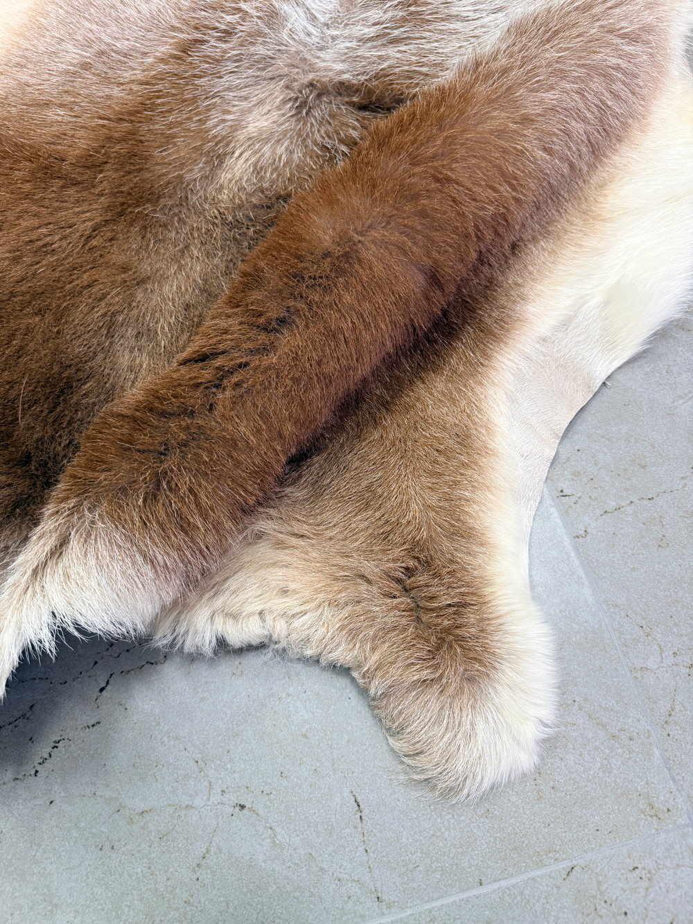 Шкура коврик меховой прикроватный овчина, 120х65 см.