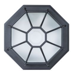 Уличный потолочный светильник Arte Lamp