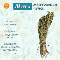 Мята ментоловая пучок.