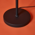 Напольный светильник (торшер) Freya FR5553FL-L20B