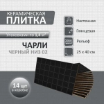 Чарли чер низ 02 250х400 (1-й сорт)