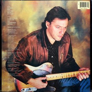 David Gilmour / About Face (LP)