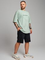 Фуфайка (футболка) мужская Сидней-4 Виотекс ФИСТАШКОВЫЙ