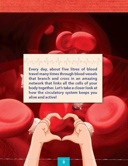 The Circulatory System (explore our world). Reader. Книга для чтения