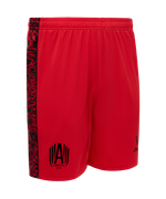 Шорты игровые JOGEL AMKAL PerFormDRY Shorts, красный/черный